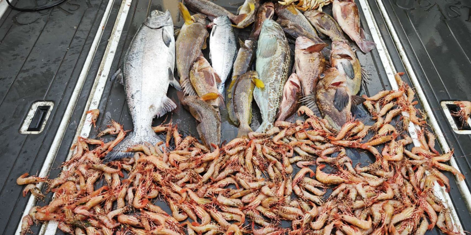 Vancouver fishing charter 3