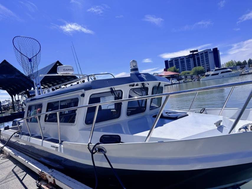 Kingfisher 3025 XRS